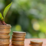 Tesouro Direto saiba o que é e como começar a investir para garantir seu futuro