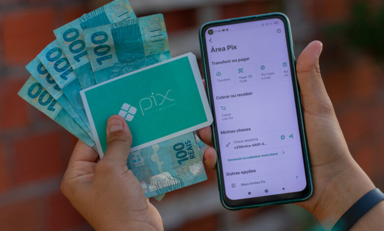 O pix deve ganhar uma função de crédito ainda em 2025. Confira as novidades.